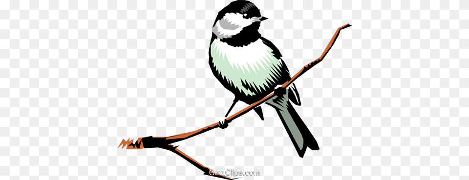 Chickadee Royalty Free Vector Clip Art Illustration, Animal, Bird, Finch, Sparrow Png