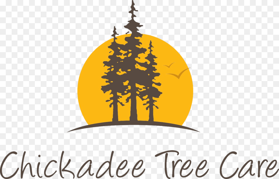Chickadee Tree Care Logo Voodoo Travel, Plant, Pine, Vegetation, Outdoors Free Png Download