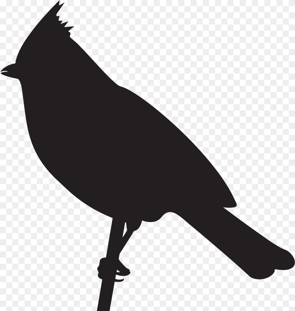 Chickadees Titmouse Bird Silhouette, Animal, Jay, Person, Cardinal Free Png Download