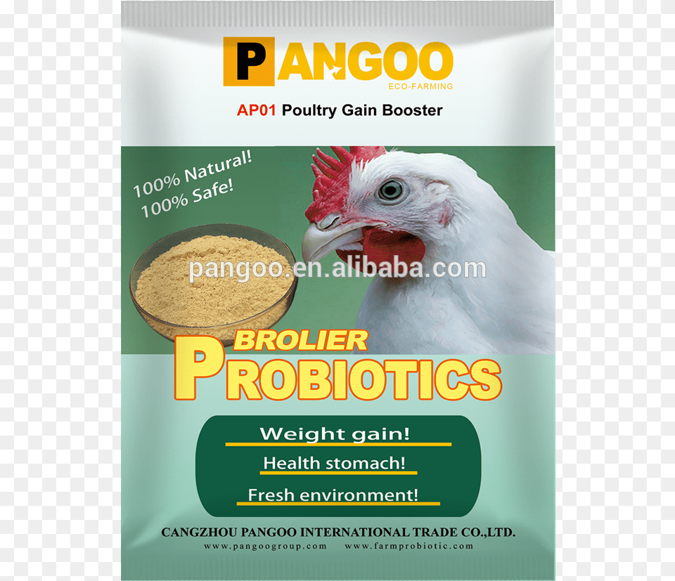 Chicken, Advertisement, Animal, Bird, Fowl Png