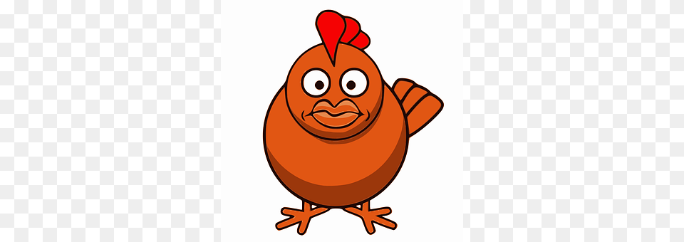 Chicken Animal, Bird, Fowl, Hen Png