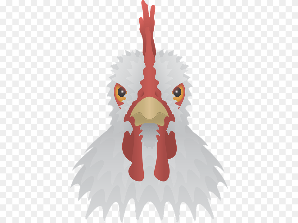 Chicken, Animal, Beak, Bird, Baby Free Transparent Png