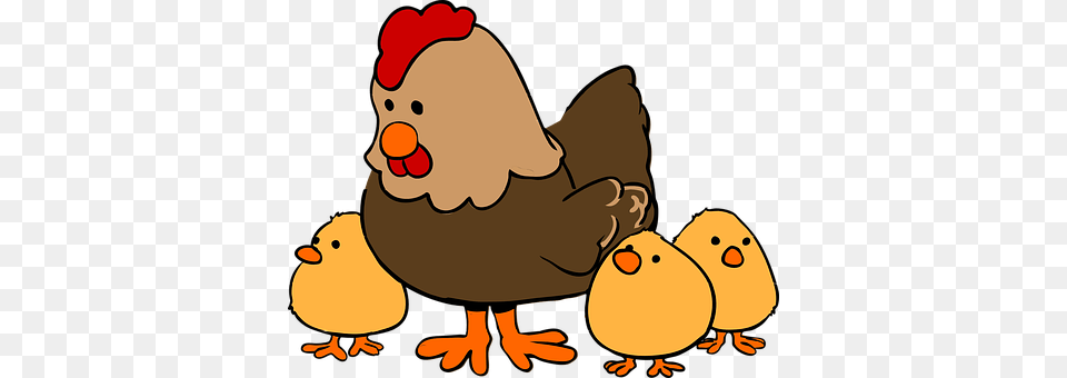 Chicken Animal, Bird, Fowl, Hen Free Png