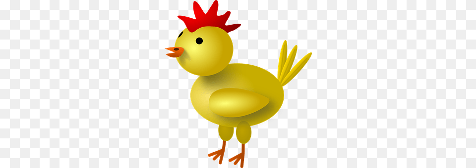 Chicken Animal, Bird, Fowl, Poultry Free Png Download