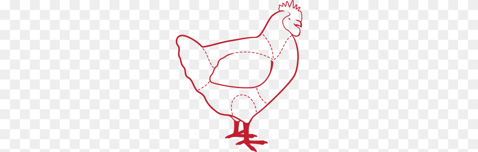 Chicken, Animal, Bird, Fowl, Hen Png