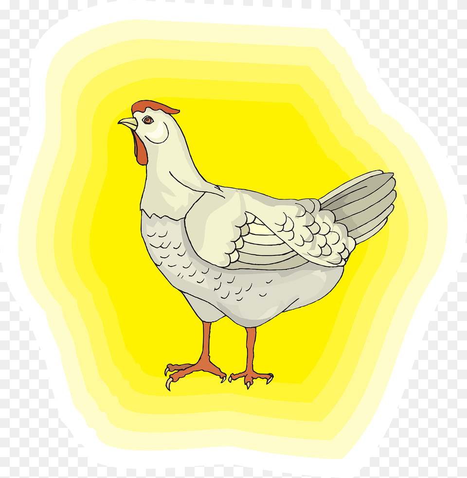 Chicken, Animal, Bird, Fowl, Hen Free Transparent Png