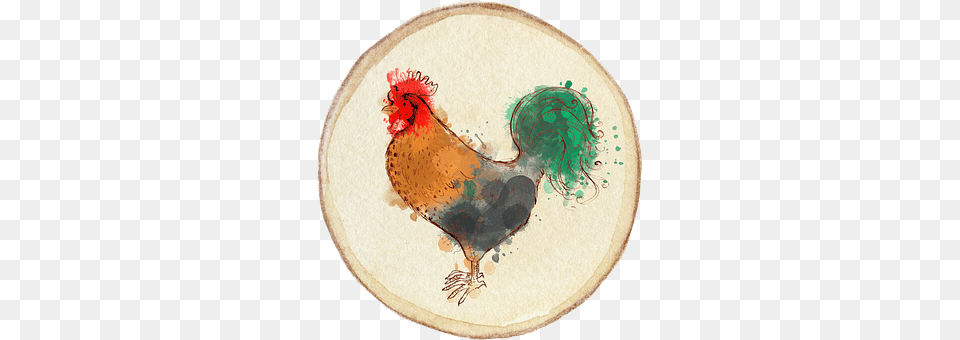 Chicken Animal, Bird, Fowl, Poultry Png