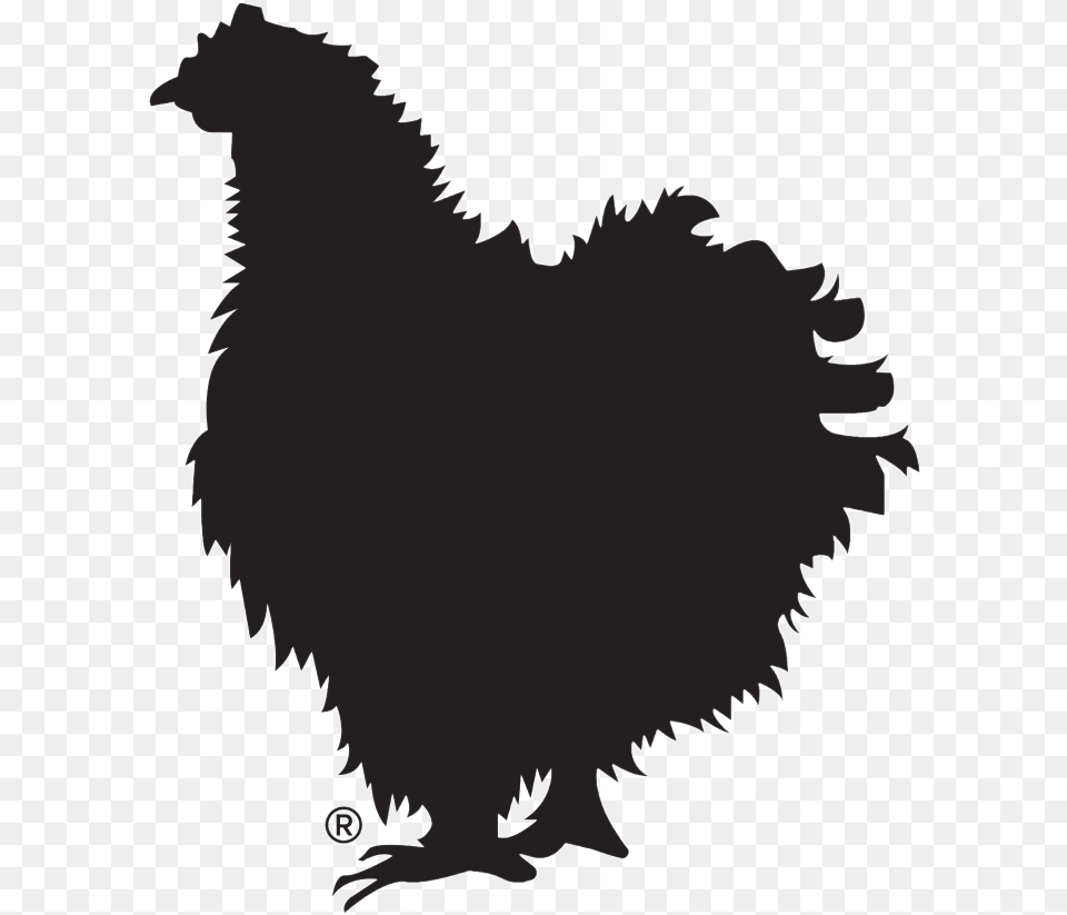 Chicken, Animal, Bird, Fowl, Hen Free Png