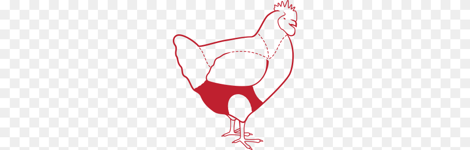 Chicken, Animal, Bird, Fowl, Hen Png