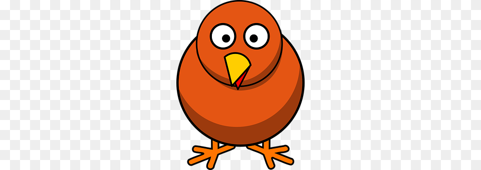 Chicken Animal, Beak, Bird, Astronomy Png Image