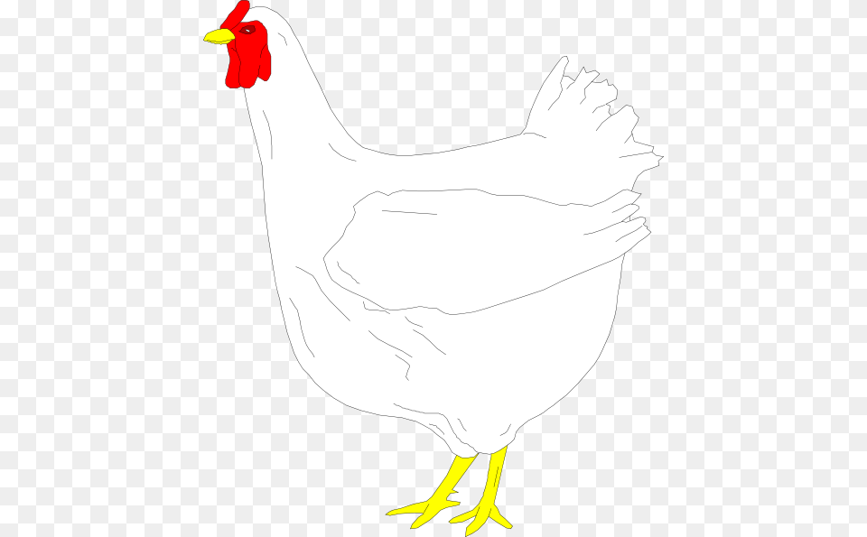 Chicken, Animal, Bird, Fowl, Hen Free Png Download