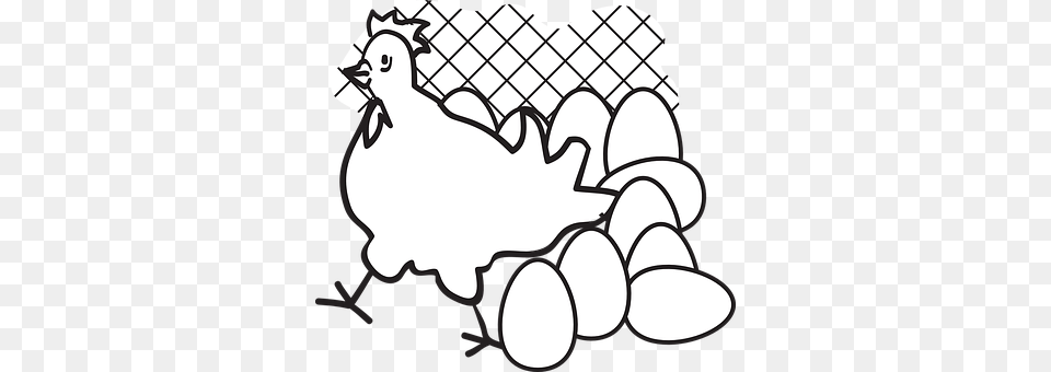 Chicken Animal, Bird Free Png