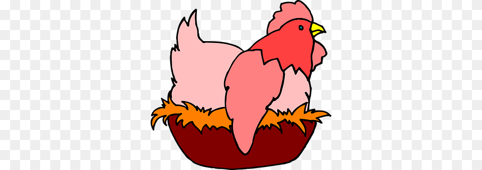 Chicken Animal, Bird, Fowl, Poultry Png Image