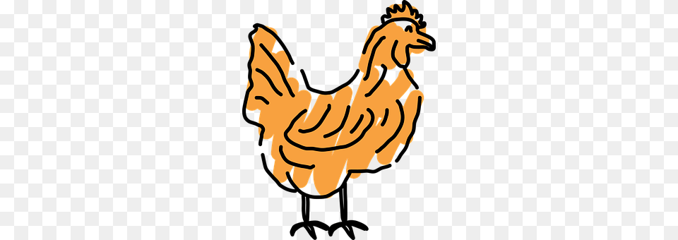 Chicken Person, Animal, Bird, Fowl Free Png Download