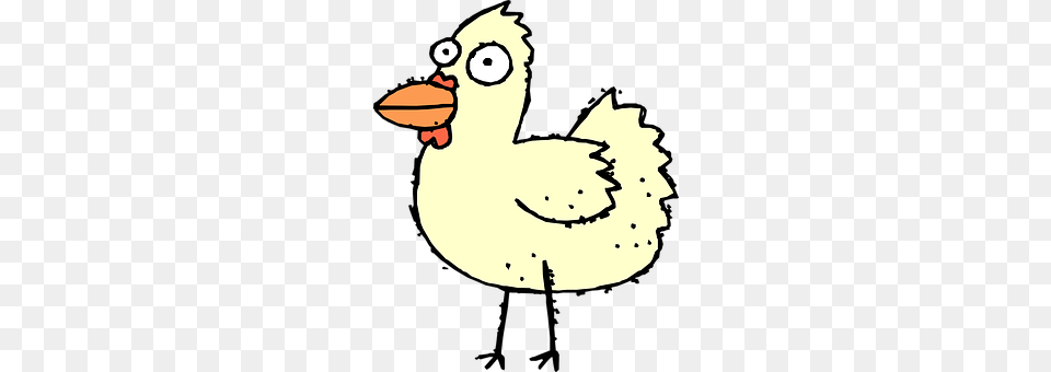 Chicken Animal, Beak, Bird, Fowl Png Image