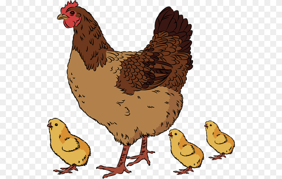 Chicken And Chicks Clip Art, Animal, Bird, Fowl, Hen Png