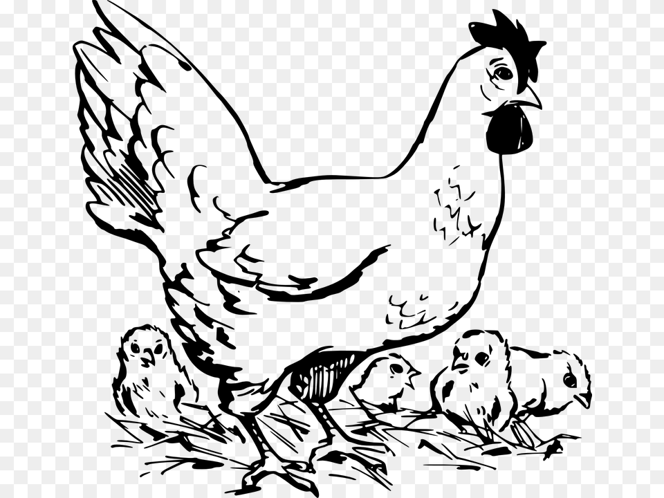 Chicken And Chicks Clipart Black And White, Gray Free Png