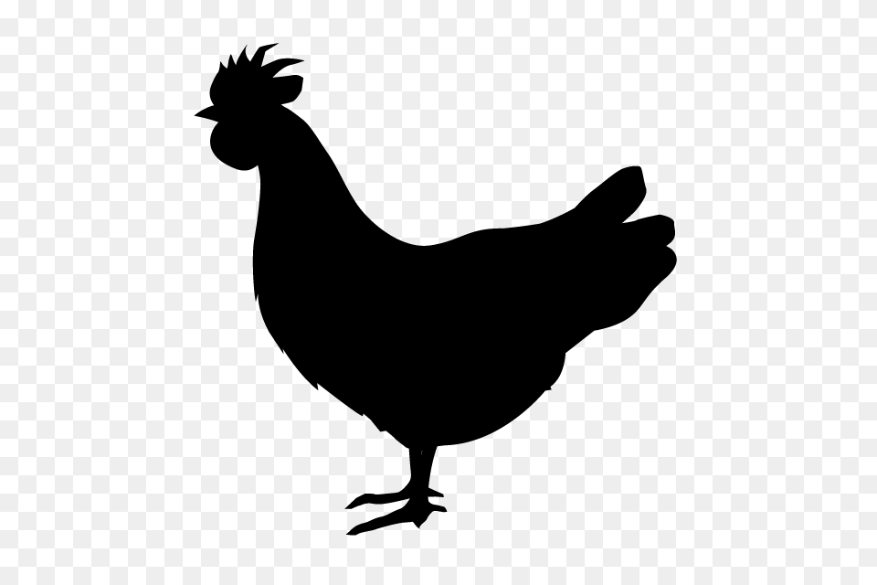 Chicken Animal Silhouette Illustrations, Gray Free Png