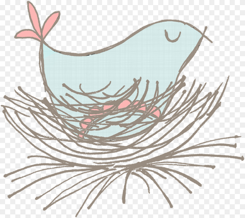 Chicken Bird Galliformes Drawing Chicken, Plant, Art Free Png