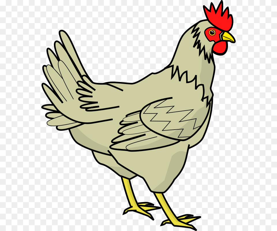 Chicken Black And White Clip Art, Animal, Bird, Fowl, Hen Free Png Download