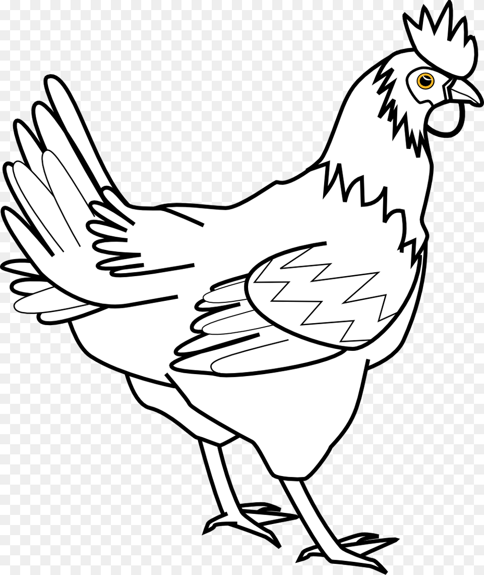 Chicken Black And White Clip Art, Animal, Bird, Fowl, Hen Png Image