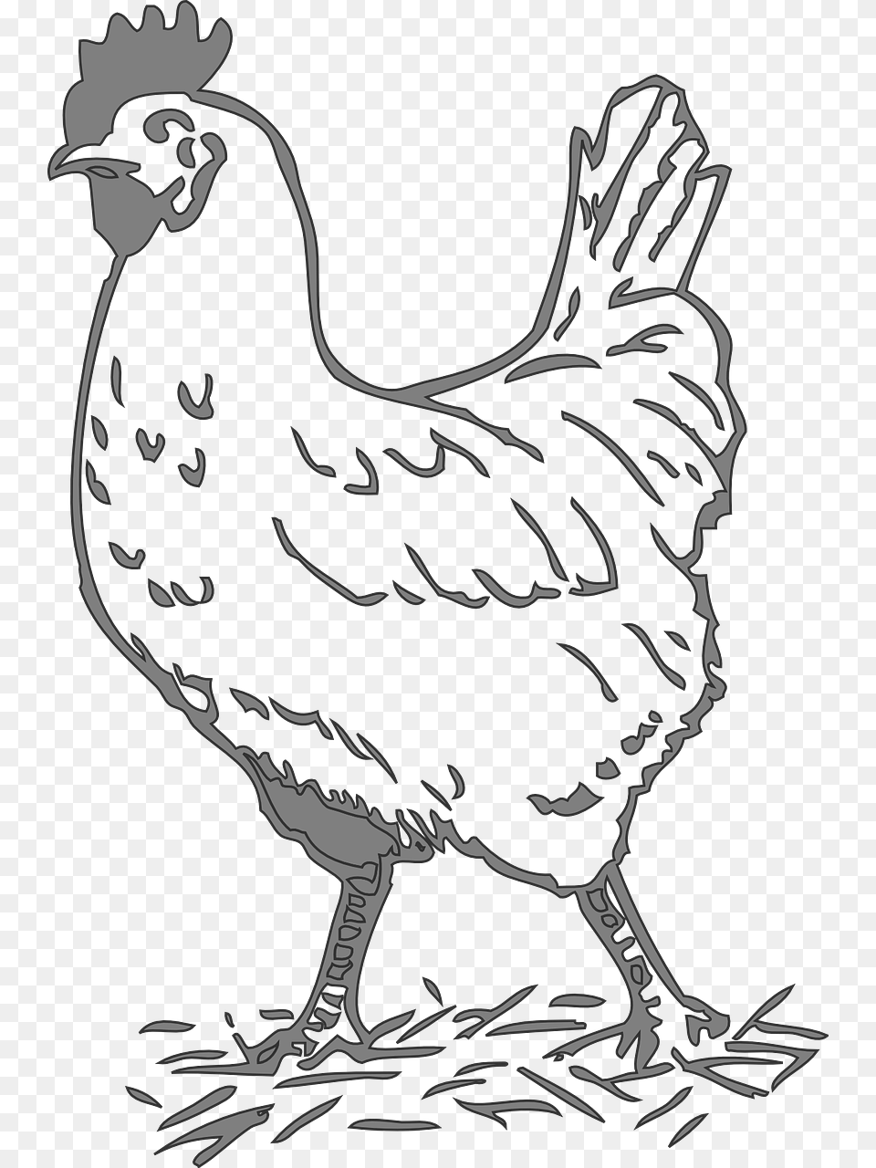 Chicken Black And White Clipart, Animal, Bird, Fowl, Hen Free Png Download