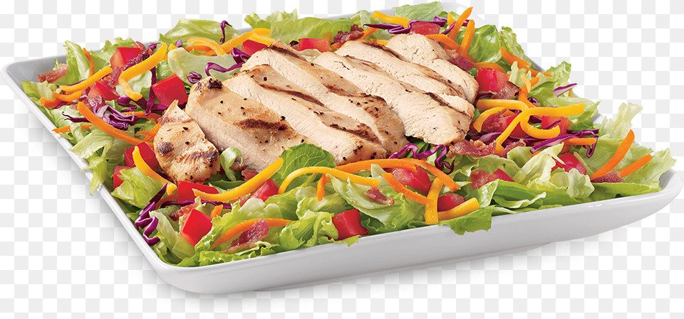 Chicken Blt Salad Dairy Queen Grilled Chicken Blt Salad, Food, Lunch, Meal, Dish Free Png