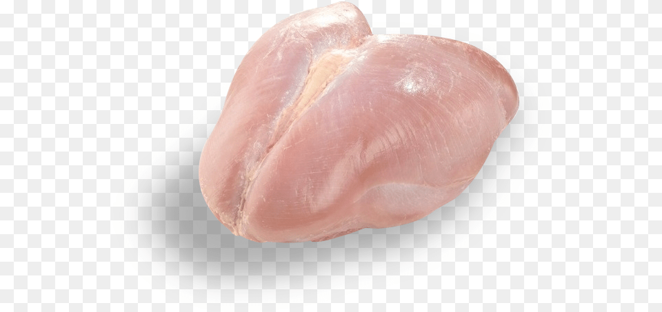 Chicken Breast, Animal, Sea Life, Seashell, Mineral Free Transparent Png