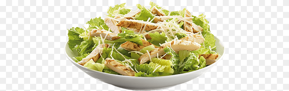 Chicken Caesar Salad Chicken Caesar Salad, Food, Lunch, Meal, Lettuce Png