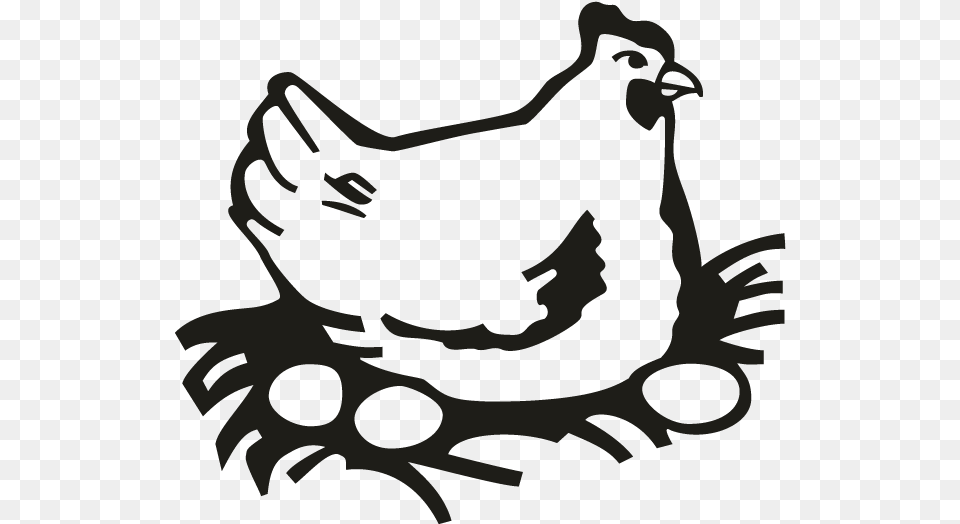 Chicken Chicken Clipart Download, Animal, Bird, Fowl, Hen Free Transparent Png