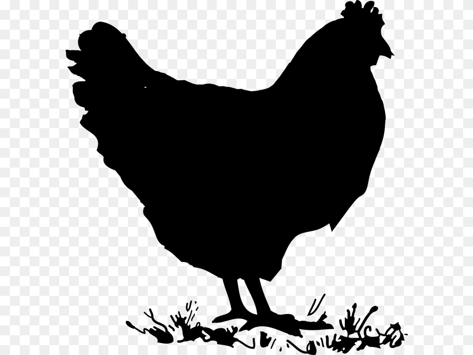 Chicken Clip Art, Gray Free Transparent Png