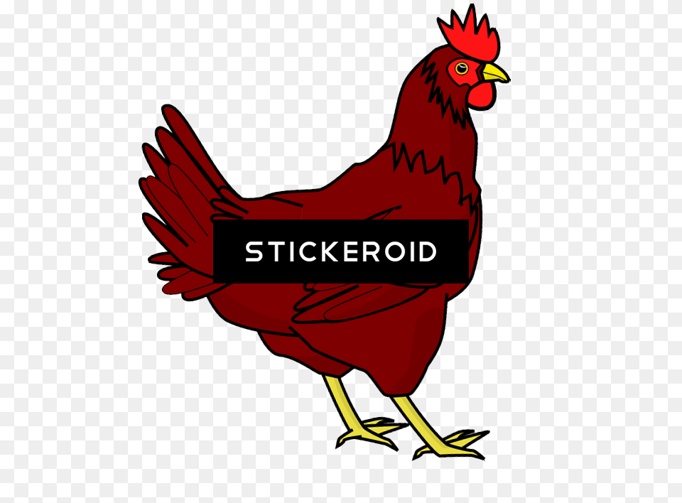 Chicken Clip Art, Animal, Bird, Fowl, Poultry Png