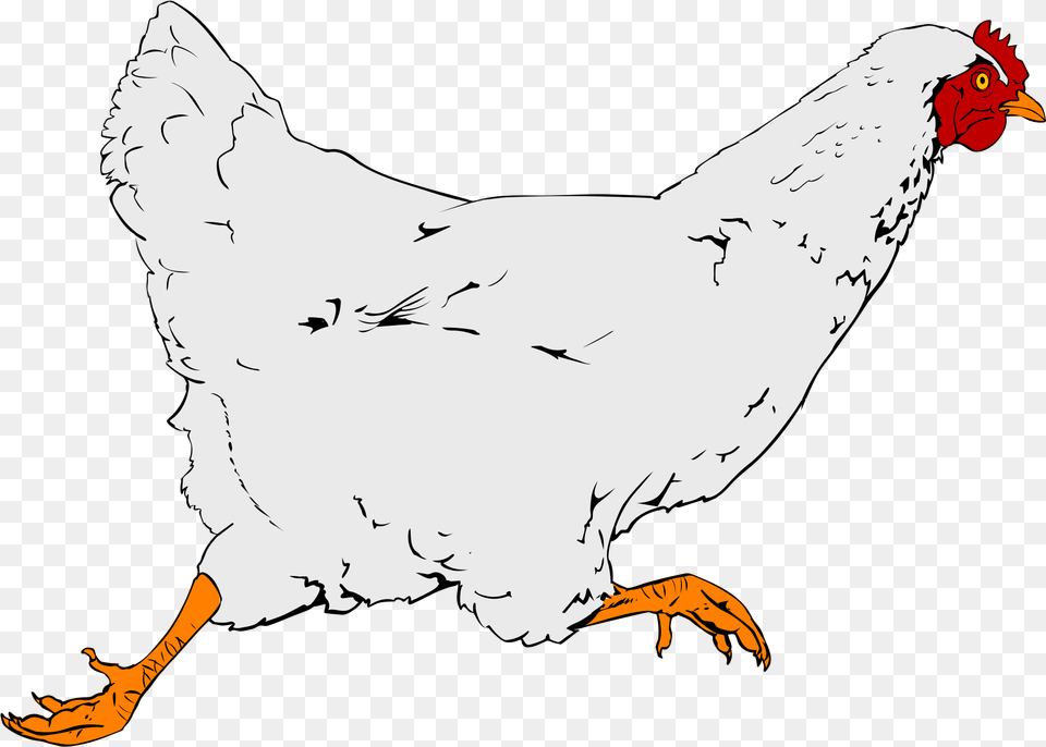 Chicken Clip Art, Fowl, Animal, Bird, Poultry Png Image