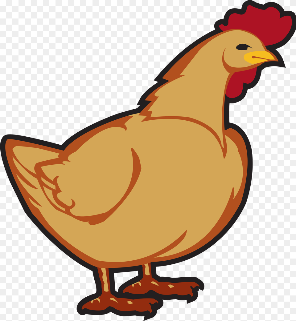 Chicken Clip Art Pictures Clipart Images Clipart Chicken, Animal, Bird, Fowl, Hen Free Png