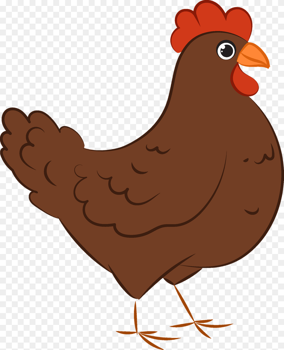 Chicken Clipart, Animal, Bird, Fowl, Hen Png Image