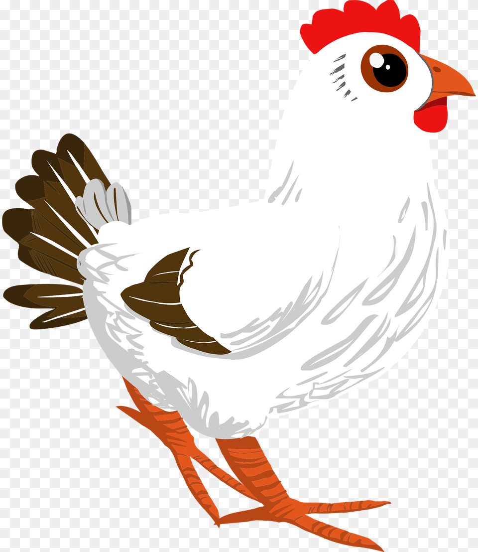 Chicken Clipart, Animal, Bird, Fowl, Hen Png Image