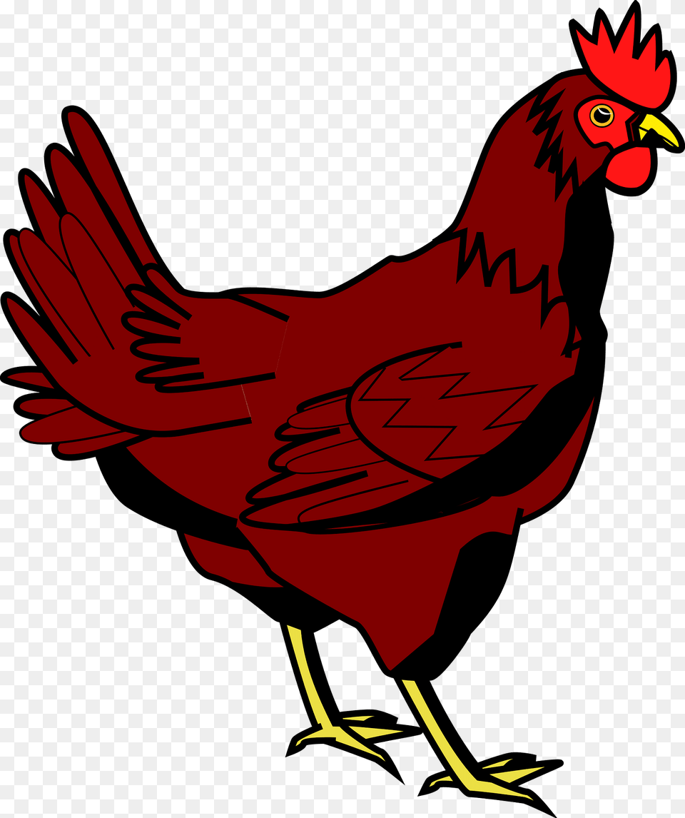 Chicken Clipart, Animal, Bird, Fowl, Poultry Free Png Download