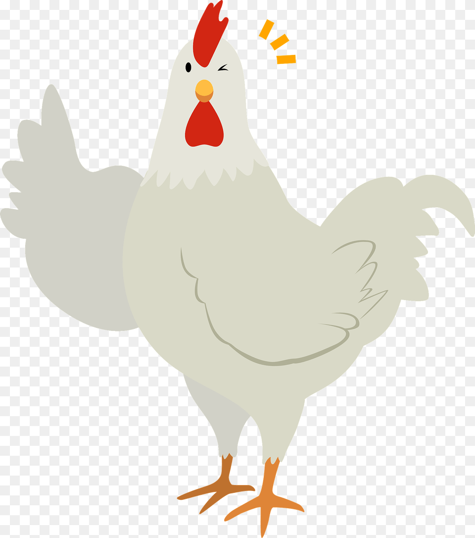 Chicken Clipart, Animal, Bird, Fowl, Hen Png Image