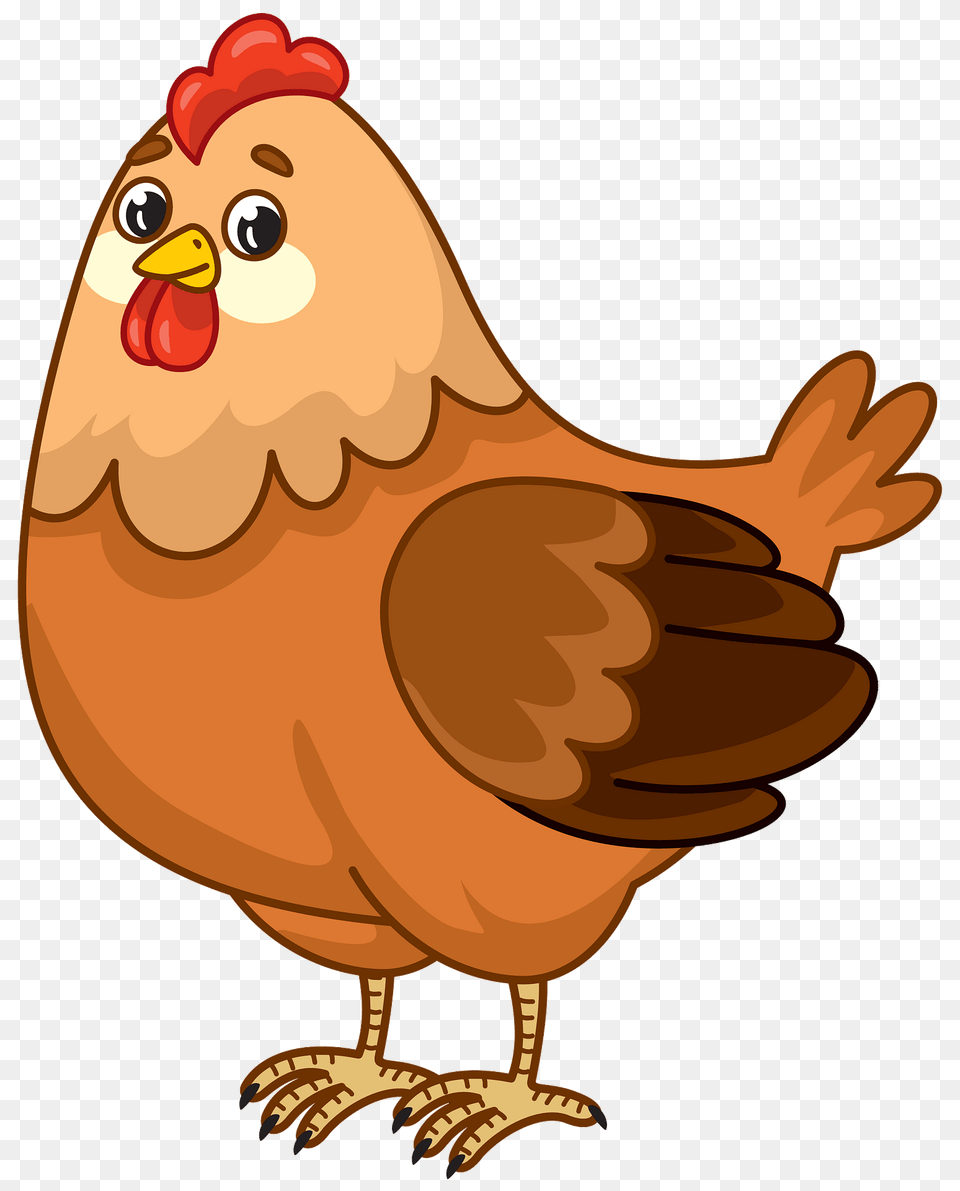 Chicken Clipart, Animal, Bird, Fowl, Hen Png