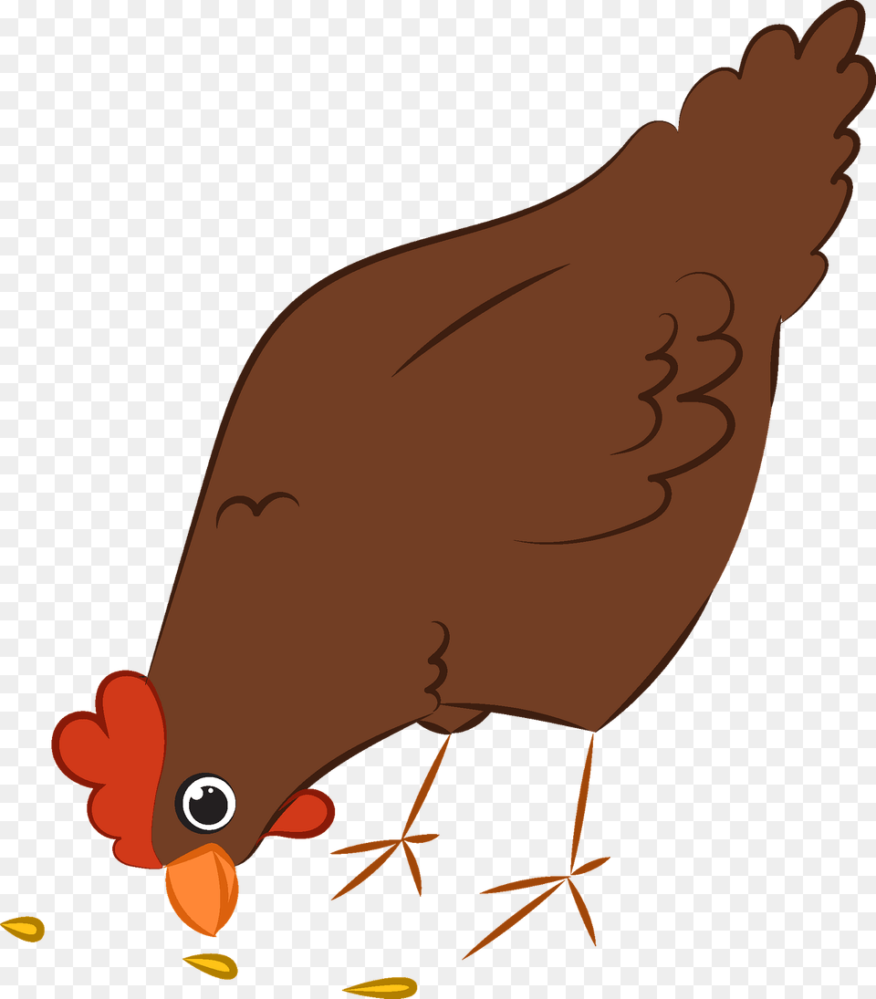 Chicken Clipart, Animal, Bird, Fowl, Hen Png