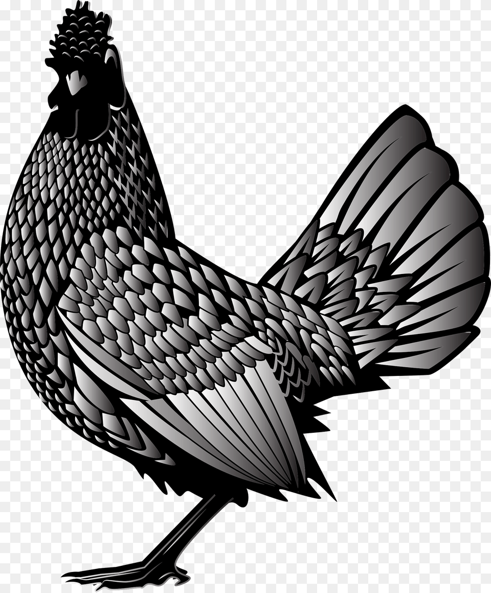 Chicken Clipart, Animal, Bird, Fish, Sea Life Png Image