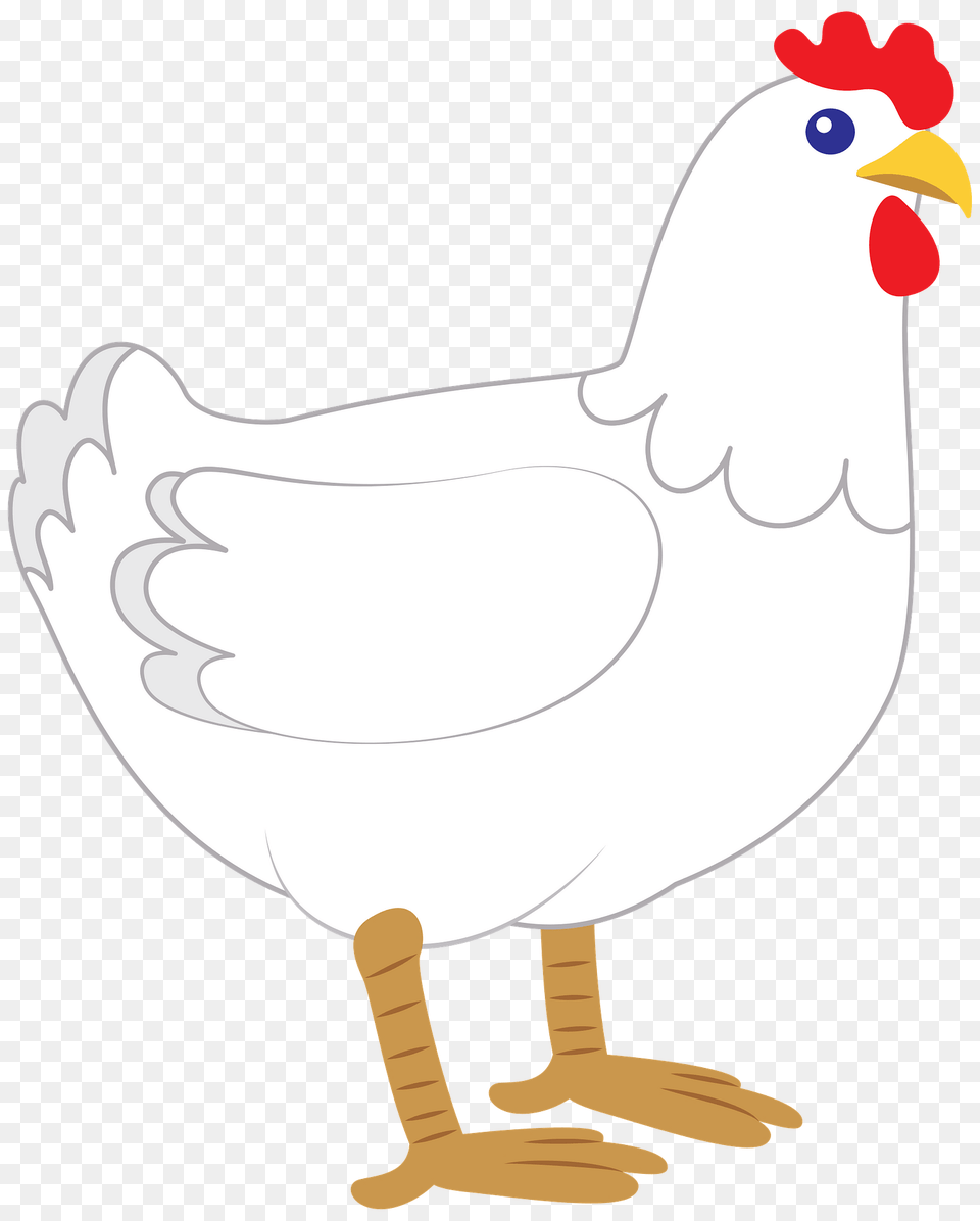 Chicken Clipart, Animal, Bird, Fowl, Hen Free Png Download