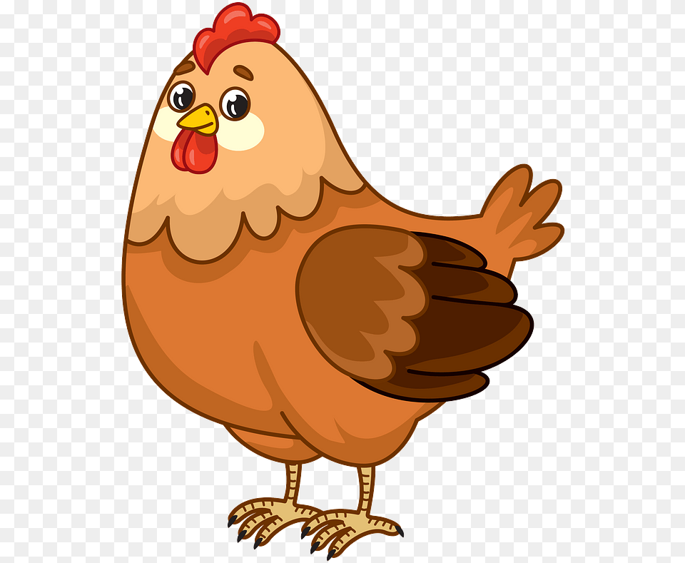 Chicken Clipart, Animal, Bird, Fowl, Hen Free Png