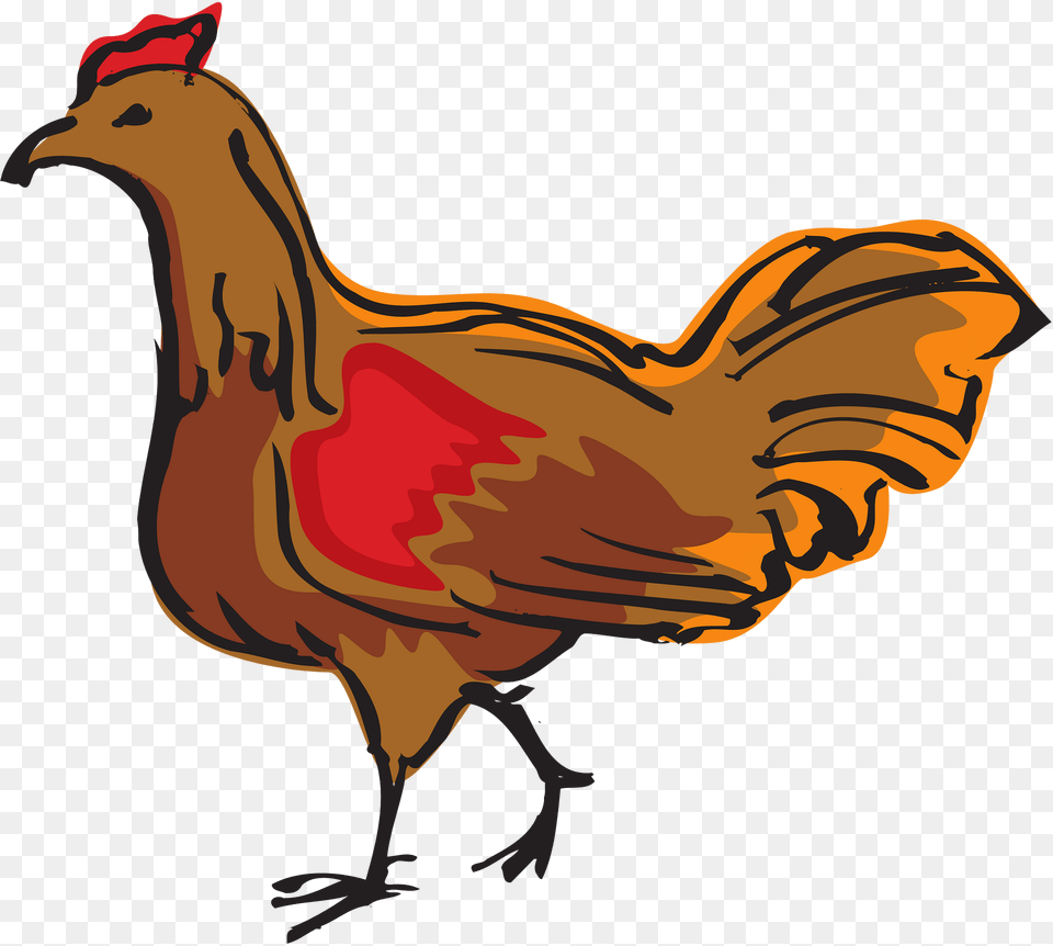 Chicken Clipart, Animal, Bird, Fowl, Hen Png Image