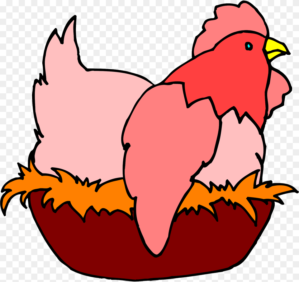 Chicken Clipart, Animal, Bird, Fowl, Poultry Free Png
