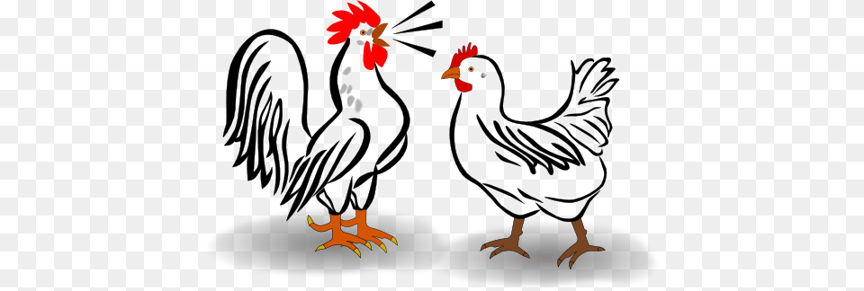 Chicken Clipart, Animal, Bird, Fowl, Poultry Free Transparent Png