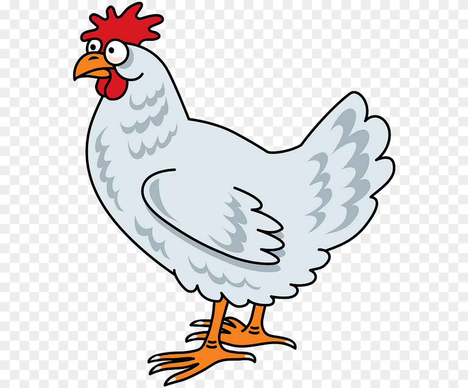 Chicken Clipart Chicken Clipart Animal, Bird, Fowl, Hen Free Transparent Png