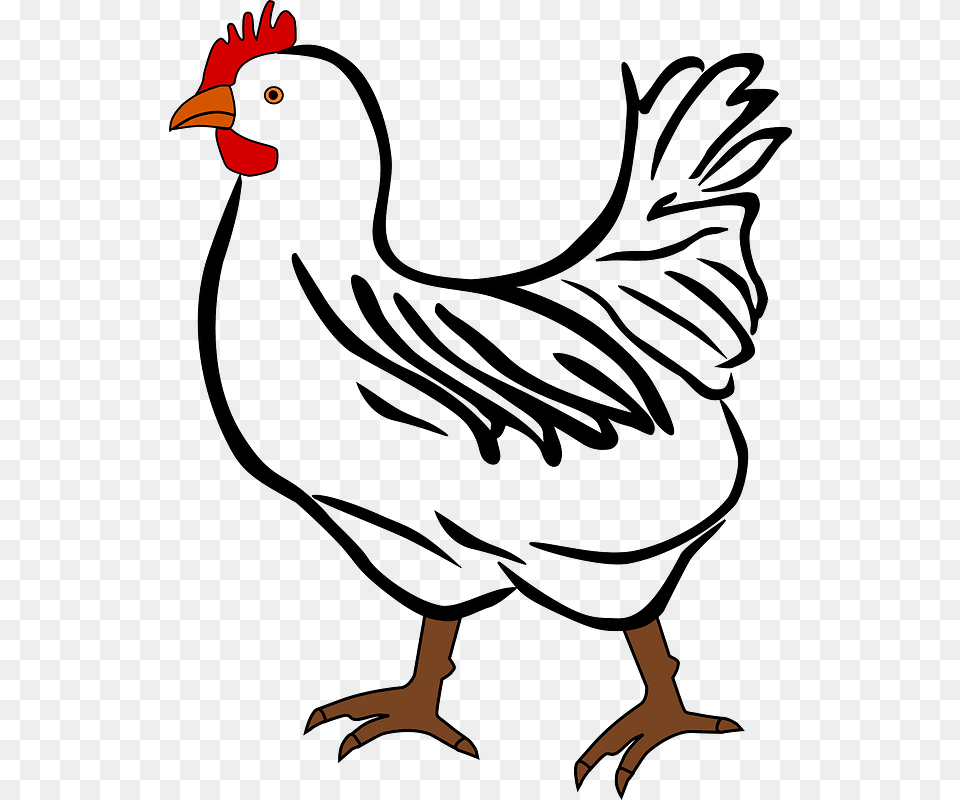 Chicken Clipart Rooster And Hen Cartoon, Animal, Bird, Fowl, Poultry Free Png