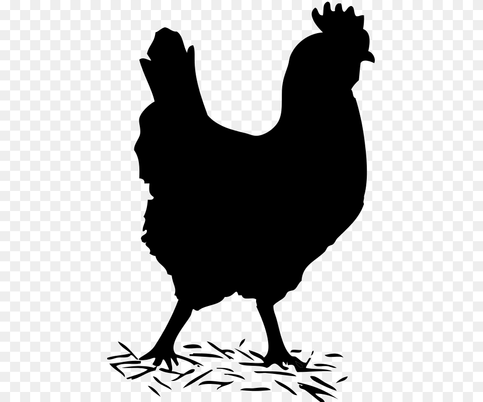 Chicken Clipart Shadow, Gray Free Transparent Png