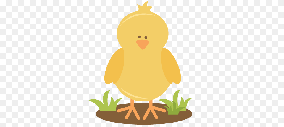Chicken Clipart Spring Chick, Animal, Bird, Nature, Outdoors Png